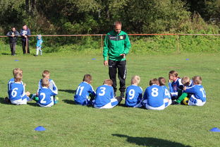 jiuyou-瑞典团队战术：从快攻到慢球的多变打法，瑞典几分钟进球